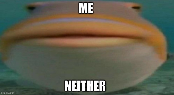 helo | ME NEITHER | image tagged in helo | made w/ Imgflip meme maker