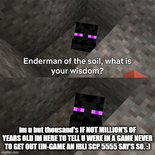 idk | im u but thousand's IF NOT MILLION'S OF YEARS OLD IM HERE TO TELL U WERE IN A GAME NEVER TO GET OUT (IN-GAME AN IRL) SCP 5555 SAY'S SO. :) | image tagged in enderman of the soil | made w/ Imgflip meme maker