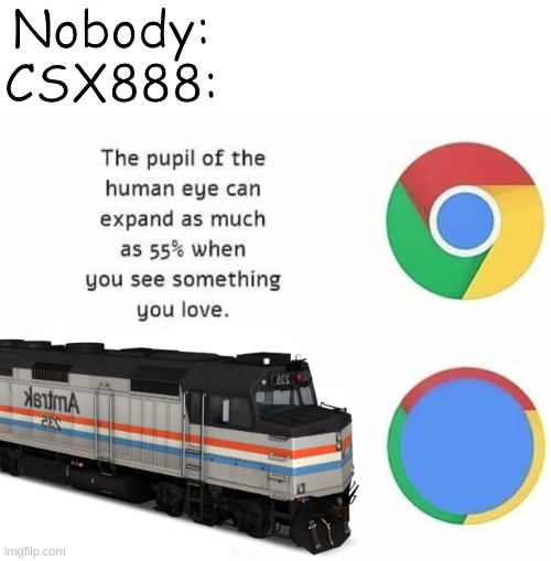 The Pupil Of The Human Eye Can Expand As Much As 55% When You | Nobody:
CSX888: | image tagged in the pupil of the human eye can expand as much as 55 when you | made w/ Imgflip meme maker