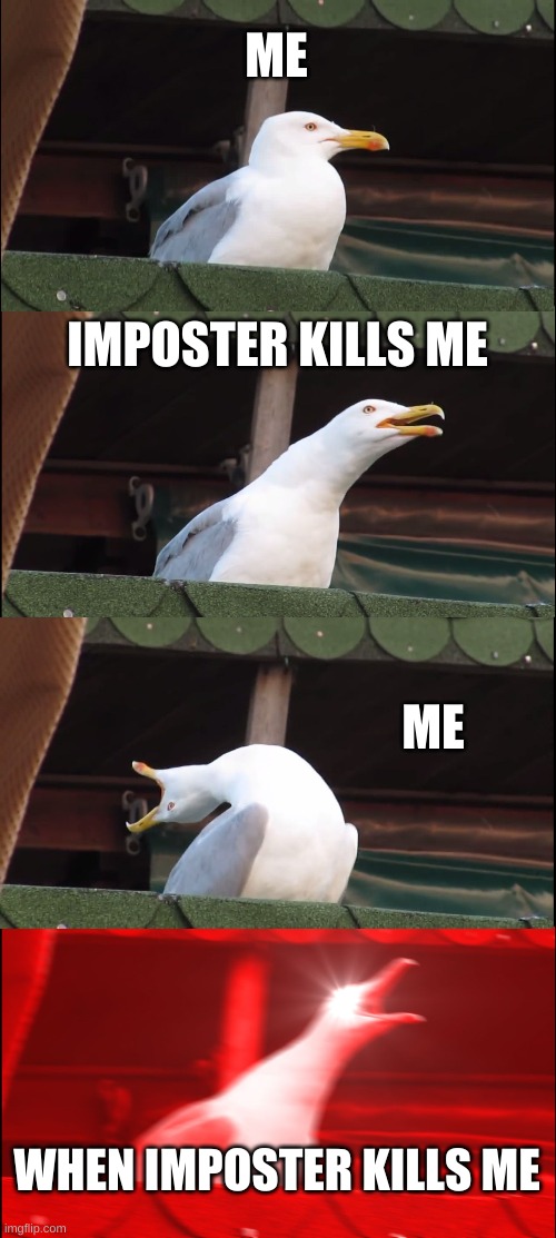 among us | ME; IMPOSTER KILLS ME; ME; WHEN IMPOSTER KILLS ME | image tagged in memes,inhaling seagull | made w/ Imgflip meme maker