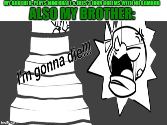 XD | ALSO MY BROTHER:; MY BROTHER: PLAYS MINECRAFT & HITS 3 IRON GOLEMS WITH NO ARMOUR | image tagged in minecraft,we're all gonna die,brothers | made w/ Imgflip meme maker
