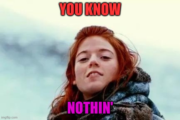 You know nothing | YOU KNOW NOTHIN' | image tagged in you know nothing | made w/ Imgflip meme maker