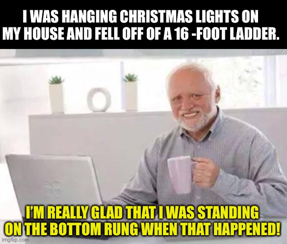 I fell | I WAS HANGING CHRISTMAS LIGHTS ON MY HOUSE AND FELL OFF OF A 16 -FOOT LADDER. I’M REALLY GLAD THAT I WAS STANDING ON THE BOTTOM RUNG WHEN THAT HAPPENED! | image tagged in harold | made w/ Imgflip meme maker