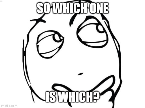 Question Rage Face Meme | SO WHICH ONE IS WHICH? | image tagged in memes,question rage face | made w/ Imgflip meme maker