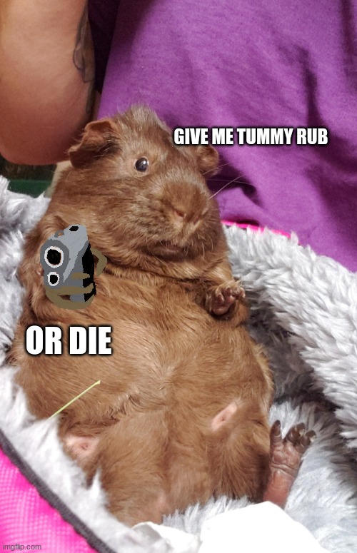 Give the boy a tummy rub | GIVE ME TUMMY RUB; OR DIE | image tagged in memes | made w/ Imgflip meme maker