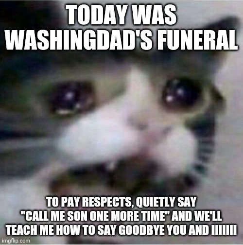 *em | TODAY WAS WASHINGDAD'S FUNERAL; TO PAY RESPECTS, QUIETLY SAY "CALL ME SON ONE MORE TIME" AND WE'LL TEACH ME HOW TO SAY GOODBYE YOU AND IIIIIII | image tagged in crying cat | made w/ Imgflip meme maker