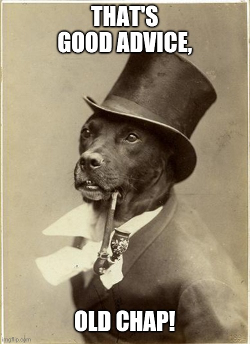 Old Money Dog | THAT'S GOOD ADVICE, OLD CHAP! | image tagged in old money dog | made w/ Imgflip meme maker