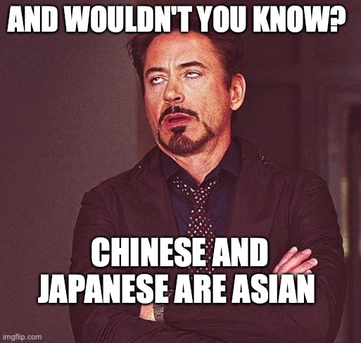 Robert Downey Jr Annoyed | AND WOULDN'T YOU KNOW? CHINESE AND JAPANESE ARE ASIAN | image tagged in robert downey jr annoyed | made w/ Imgflip meme maker