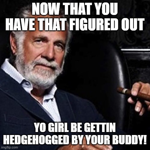 I wasn't always a Smooth Talkin',Panty Droppin' Beast.. | NOW THAT YOU HAVE THAT FIGURED OUT YO GIRL BE GETTIN HEDGEHOGGED BY YOUR BUDDY! | image tagged in i wasn't always a smooth talkin' panty droppin' beast | made w/ Imgflip meme maker
