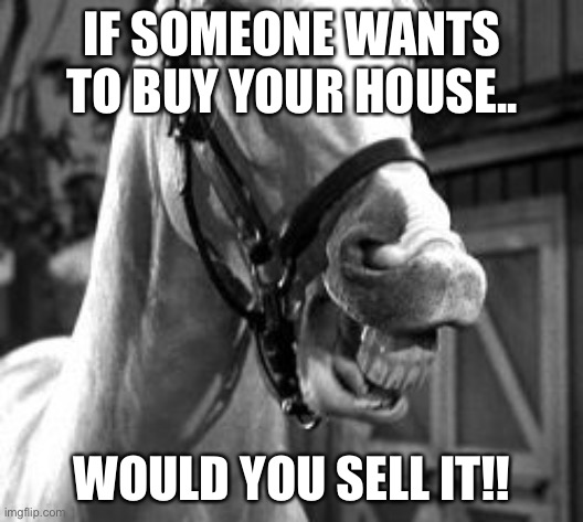 Mr Ed | IF SOMEONE WANTS TO BUY YOUR HOUSE.. WOULD YOU SELL IT!! | image tagged in mr ed | made w/ Imgflip meme maker