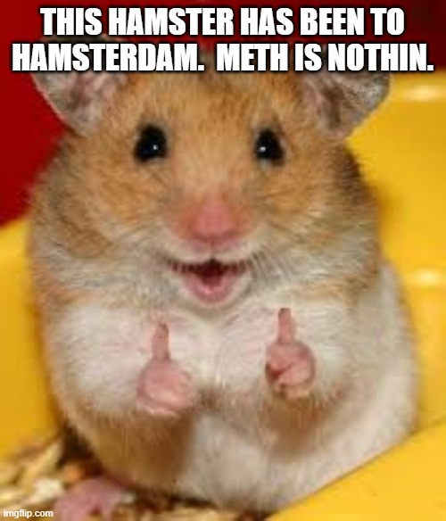 Thumbs up hamster  | THIS HAMSTER HAS BEEN TO HAMSTERDAM.  METH IS NOTHIN. | image tagged in thumbs up hamster | made w/ Imgflip meme maker