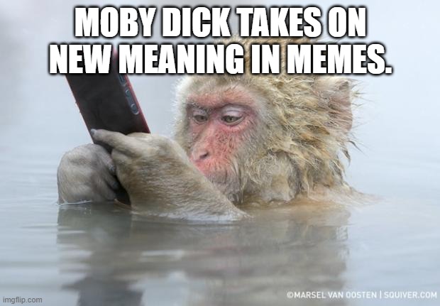 monkey mobile phone | MOBY DICK TAKES ON NEW MEANING IN MEMES. | image tagged in monkey mobile phone | made w/ Imgflip meme maker