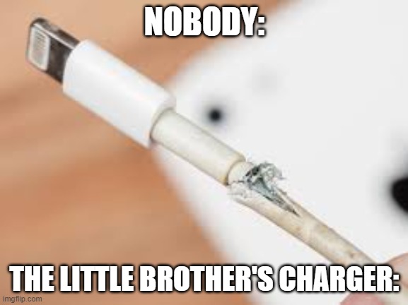 https://www.youtube.com/channel/UC49fipwfkC9WuZnTcdZp5NA | NOBODY:; THE LITTLE BROTHER'S CHARGER: | image tagged in bad luck brian | made w/ Imgflip meme maker