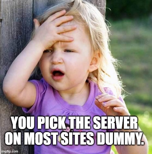 duh | YOU PICK THE SERVER ON MOST SITES DUMMY. | image tagged in duh | made w/ Imgflip meme maker