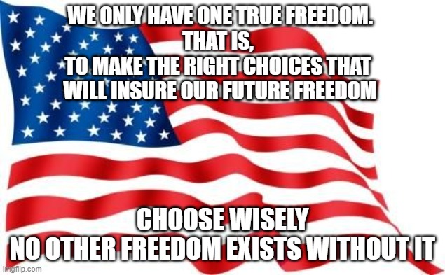 choose wisely | WE ONLY HAVE ONE TRUE FREEDOM.
THAT IS, 
TO MAKE THE RIGHT CHOICES THAT 
WILL INSURE OUR FUTURE FREEDOM; CHOOSE WISELY
NO OTHER FREEDOM EXISTS WITHOUT IT | image tagged in u s flag | made w/ Imgflip meme maker