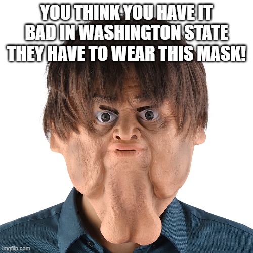 It could be worse | YOU THINK YOU HAVE IT BAD IN WASHINGTON STATE THEY HAVE TO WEAR THIS MASK! | image tagged in mask,masks | made w/ Imgflip meme maker