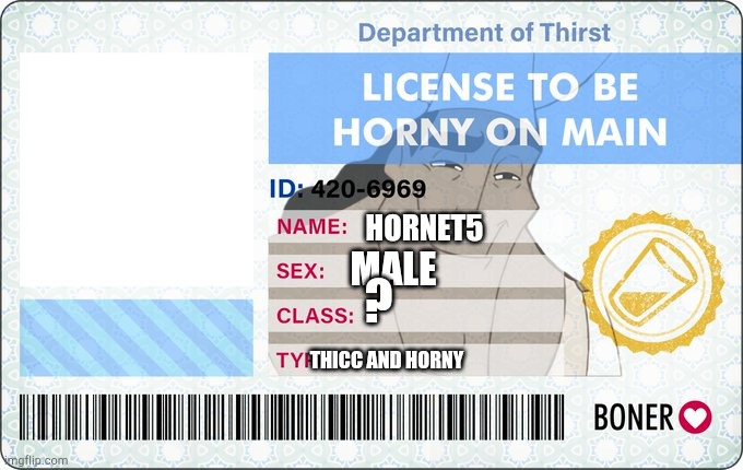 License To Be Horny On Main | MALE; HORNET5; ? THICC AND HORNY | image tagged in license to be horny on main | made w/ Imgflip meme maker