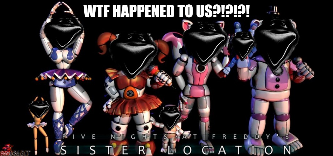 AHHHHHHHHHHHHH! | WTF HAPPENED TO US?!?!?! | image tagged in fnaf sister location | made w/ Imgflip meme maker