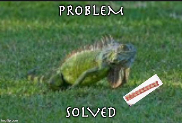 Frank skillz | PROBLEM; SOLVED | image tagged in problem,solution,myth,hero,percy jackson,frank zhang | made w/ Imgflip meme maker