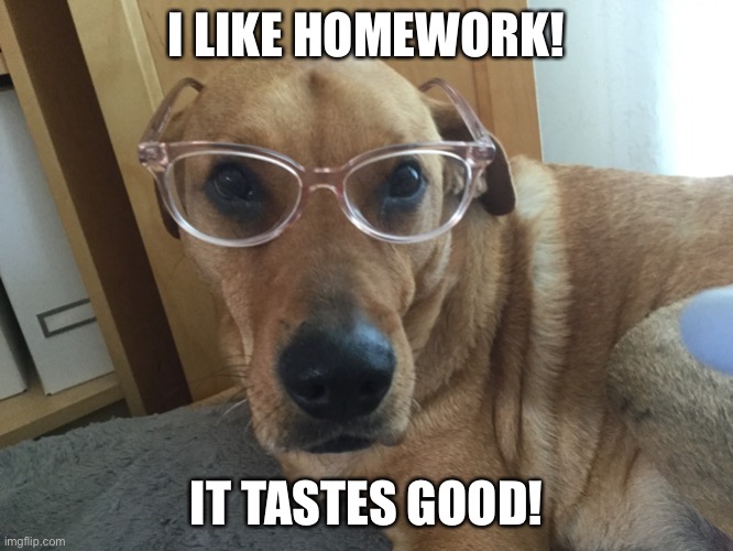 Once you get past the dryness, it’s really not bad! | I LIKE HOMEWORK! IT TASTES GOOD! | image tagged in smarty dog,dog,glasses,homework | made w/ Imgflip meme maker