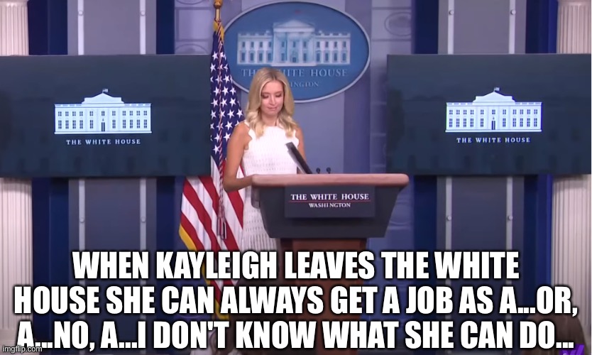 She seems to have limited skills... | WHEN KAYLEIGH LEAVES THE WHITE HOUSE SHE CAN ALWAYS GET A JOB AS A...OR, A...NO, A...I DON'T KNOW WHAT SHE CAN DO... | image tagged in kayleigh mcenany oh god what tweets to deflect from today | made w/ Imgflip meme maker