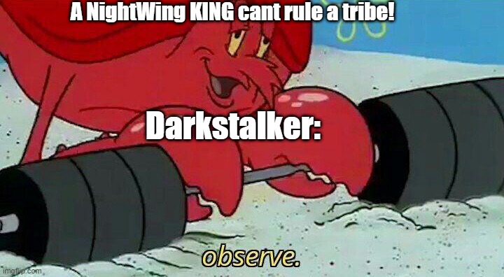 Observe, NightWings. | A NightWing KING cant rule a tribe! Darkstalker: | image tagged in observe | made w/ Imgflip meme maker