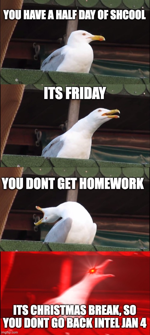based of a true story | YOU HAVE A HALF DAY OF SHCOOL; ITS FRIDAY; YOU DONT GET HOMEWORK; ITS CHRISTMAS BREAK, SO YOU DONT GO BACK INTEL JAN 4 | image tagged in memes,inhaling seagull | made w/ Imgflip meme maker