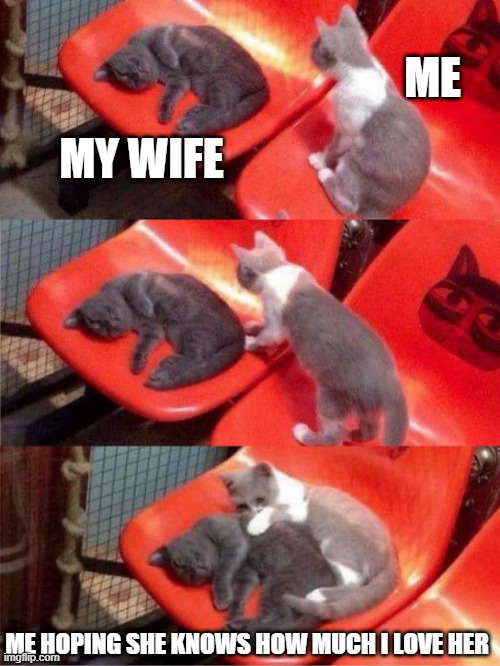 ME; MY WIFE; ME HOPING SHE KNOWS HOW MUCH I LOVE HER | made w/ Imgflip meme maker