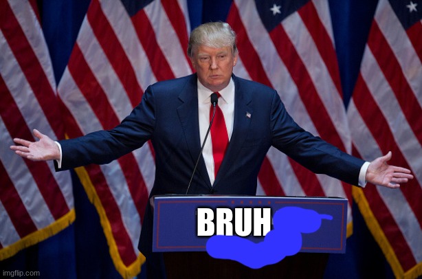 Donald Trump | BRUH | image tagged in donald trump | made w/ Imgflip meme maker