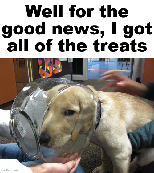 Well for the good news, I got all of the treats | made w/ Imgflip meme maker