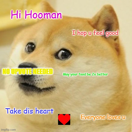 Doge | Hi Hooman; I hop u feel good; NO UPVOTE NEEDED; May your food be 2x better; Take dis heart; Everyone loves u | image tagged in memes,doge | made w/ Imgflip meme maker