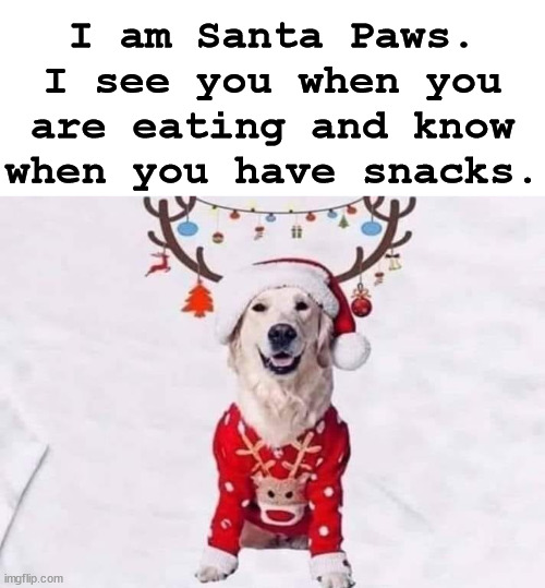 I am Santa Paws. I see you when you are eating and know when you have snacks. | made w/ Imgflip meme maker