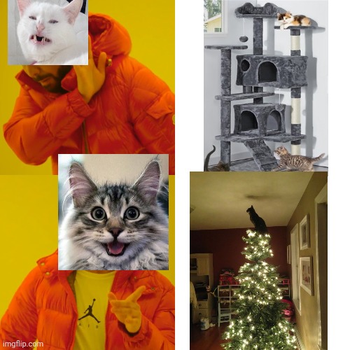 Cat Christmas Tree | image tagged in memes,drake hotline bling | made w/ Imgflip meme maker
