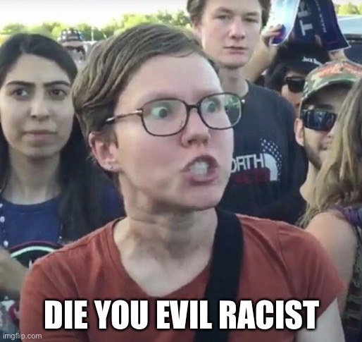 Triggered feminist | DIE YOU EVIL RACIST | image tagged in triggered feminist | made w/ Imgflip meme maker