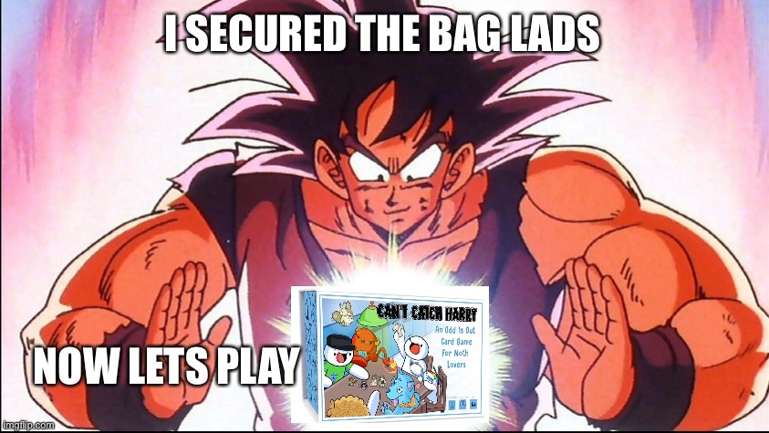 No have the bag lads | I SECURED THE BAG LADS; NOW LETS PLAY | image tagged in dbz,dbz meme,goku,memes | made w/ Imgflip meme maker