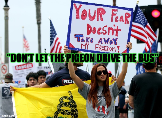 The pigeons -> | "DON'T LET THE PIGEON DRIVE THE BUS" | image tagged in anti-masker freedom,brain washed,trumpers,losers,biden 2020,america | made w/ Imgflip meme maker