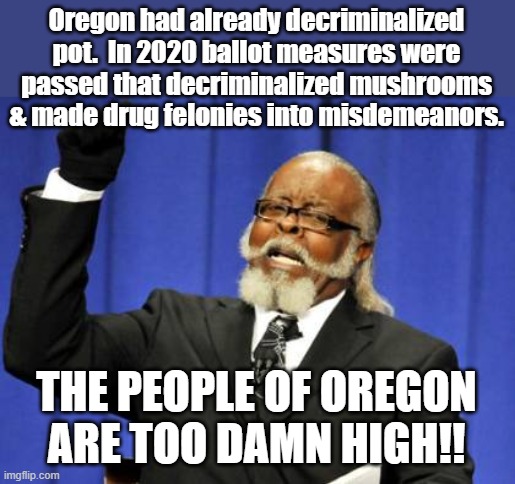The # of words in this meme is too damn high! | Oregon had already decriminalized pot.  In 2020 ballot measures were passed that decriminalized mushrooms & made drug felonies into misdemeanors. THE PEOPLE OF OREGON ARE TOO DAMN HIGH!! | image tagged in memes,too damn high,drugs,laws,referendum,oregon | made w/ Imgflip meme maker