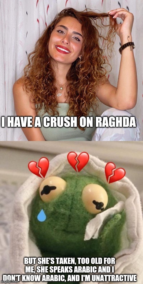 My Celeb Crush |  I HAVE A CRUSH ON RAGHDA; BUT SHE'S TAKEN, TOO OLD FOR ME, SHE SPEAKS ARABIC AND I DON'T KNOW ARABIC, AND I'M UNATTRACTIVE | image tagged in celebrity,raghda,my secret,arabic,queenoftheworld,crush | made w/ Imgflip meme maker
