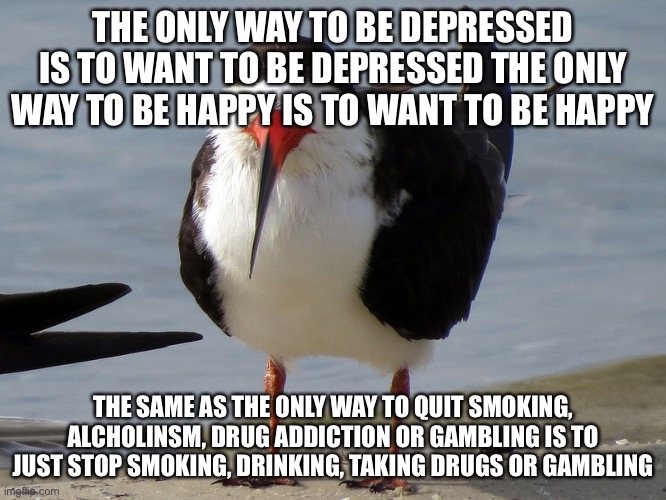 Even Less Popular Opinion Bird | THE ONLY WAY TO BE DEPRESSED IS TO WANT TO BE DEPRESSED THE ONLY WAY TO BE HAPPY IS TO WANT TO BE HAPPY THE SAME AS THE ONLY WAY TO QUIT SMO | image tagged in even less popular opinion bird | made w/ Imgflip meme maker