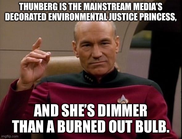 Greta Thunberg is not good for the environment | THUNBERG IS THE MAINSTREAM MEDIA’S DECORATED ENVIRONMENTAL JUSTICE PRINCESS, AND SHE’S DIMMER THAN A BURNED OUT BULB. | image tagged in picard make it so,memes,greta thunberg,stupid,social justice warrior,media | made w/ Imgflip meme maker
