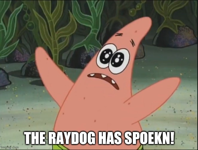THE SHELL HAS SPOKEN | THE RAYDOG HAS SPOEKN! | image tagged in the shell has spoken | made w/ Imgflip meme maker