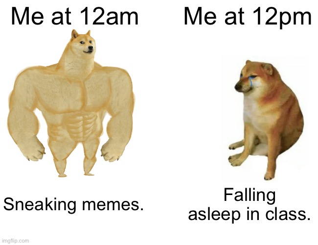 Doggo | Me at 12am; Me at 12pm; Sneaking memes. Falling asleep in class. | image tagged in memes,buff doge vs cheems | made w/ Imgflip meme maker