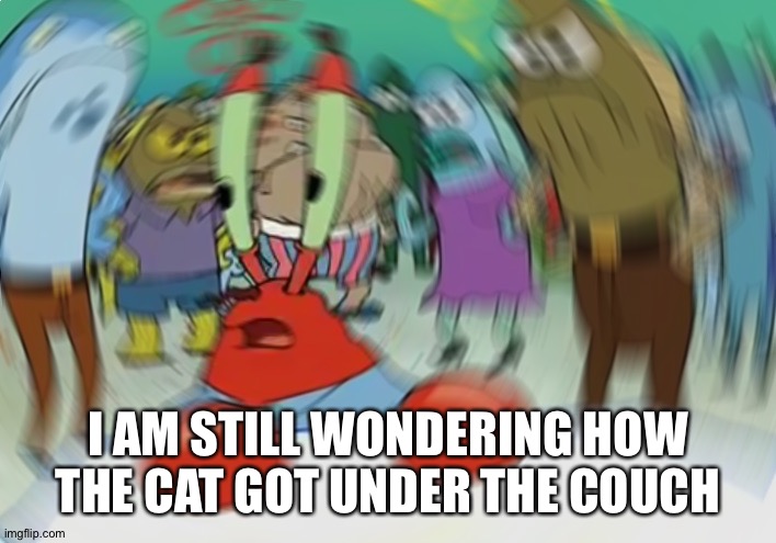 Mr Krabs Blur Meme Meme | I AM STILL WONDERING HOW THE CAT GOT UNDER THE COUCH | image tagged in memes,mr krabs blur meme | made w/ Imgflip meme maker