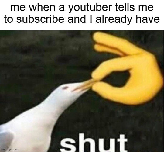 why do they ask us to subscribe so much | me when a youtuber tells me to subscribe and I already have | image tagged in shut | made w/ Imgflip meme maker