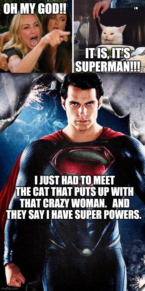 OH MY GOD!! J M; IT IS, IT'S SUPERMAN!!! I JUST HAD TO MEET THE CAT THAT PUTS UP WITH THAT CRAZY WOMAN.   AND THEY SAY I HAVE SUPER POWERS. | image tagged in smudge the cat | made w/ Imgflip meme maker