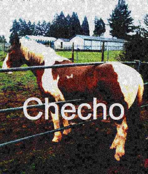CHECHO horse meme | image tagged in juan,horse | made w/ Imgflip meme maker