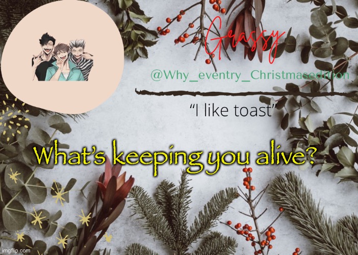 Can’t sleep ✌️ | What’s keeping you alive? | image tagged in why_eventry christmas template | made w/ Imgflip meme maker