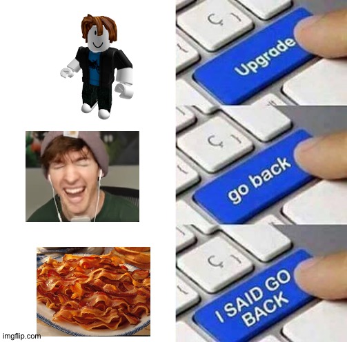 Inspired by a meme by Mickanos | image tagged in i said go back,albert,flamingo,roblox,bacon,bacon hair | made w/ Imgflip meme maker
