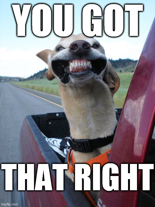 Yay!! It's Friday!!! | YOU GOT THAT RIGHT | image tagged in yay it's friday | made w/ Imgflip meme maker