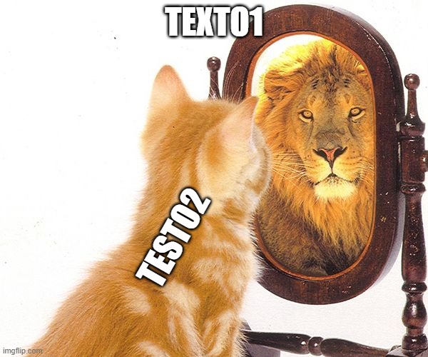 cat into lion | TEXTO1; TESTO2 | image tagged in brave | made w/ Imgflip meme maker